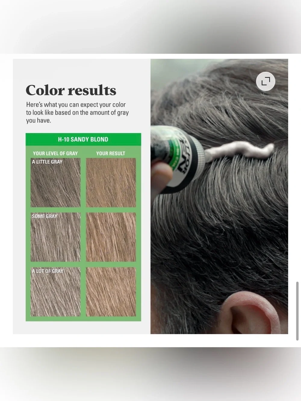 Just for Men Easy Shampoo-In Gray Hair Coloring for Men